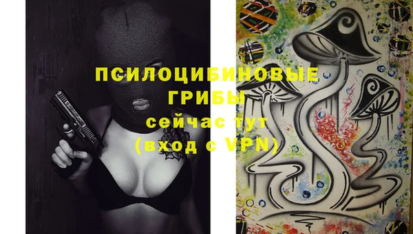 MESCALINE Коряжма