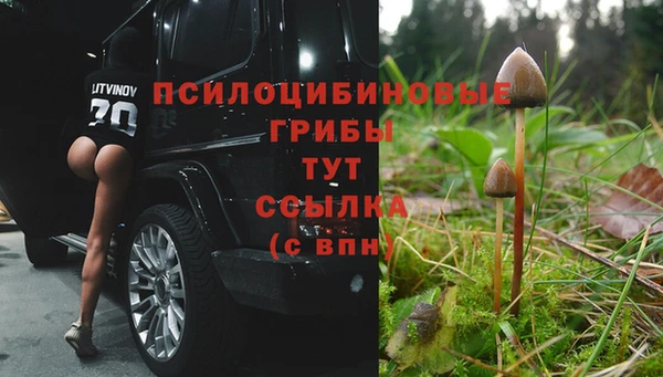 кристаллы Корсаков