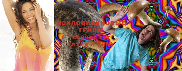 MESCALINE Коряжма