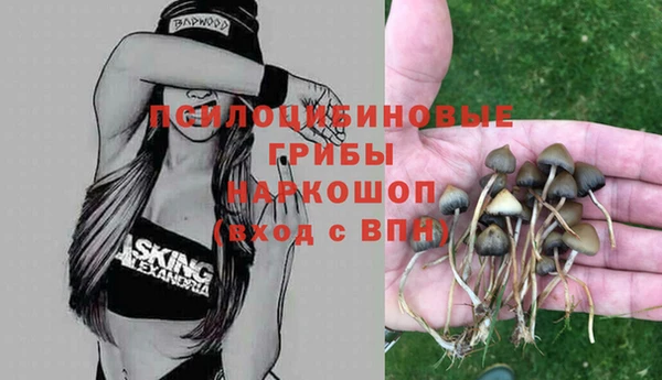мескалин Кинешма