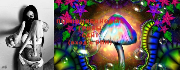 MESCALINE Коряжма
