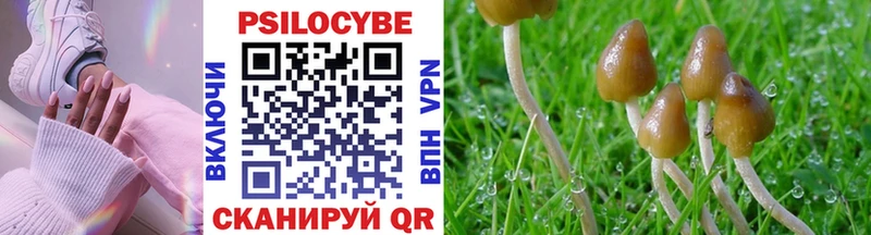 Галлюциногенные грибы Magic Shrooms Малгобек