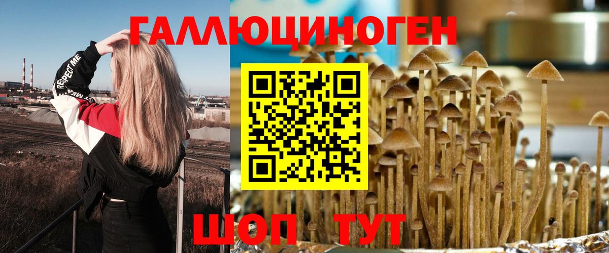 сколько стоит  Вход с VPN  Галлюциногенные грибы мухоморы  Малгобек  Галлюциногенные грибы Cubensis 